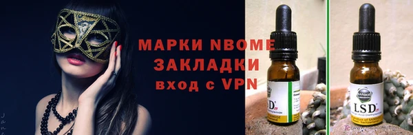 скорость Новозыбков