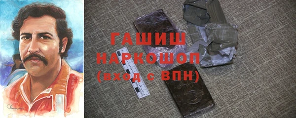 индика Апатиты