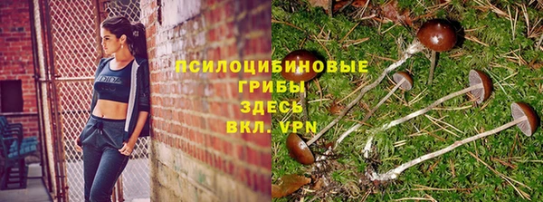скорость Новозыбков