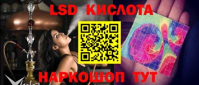 гашик Гатчина