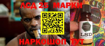 гашик Гатчина