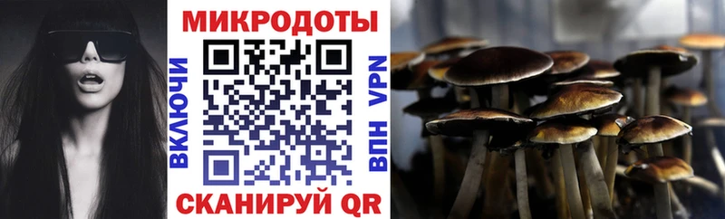 Галлюциногенные грибы прущие грибы  Азнакаево 