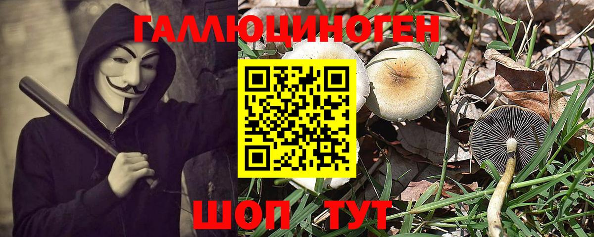 Псилоцибиновые грибы мухоморы  наркотики  Азнакаево  Псилоцибиновые грибы ЛСД 