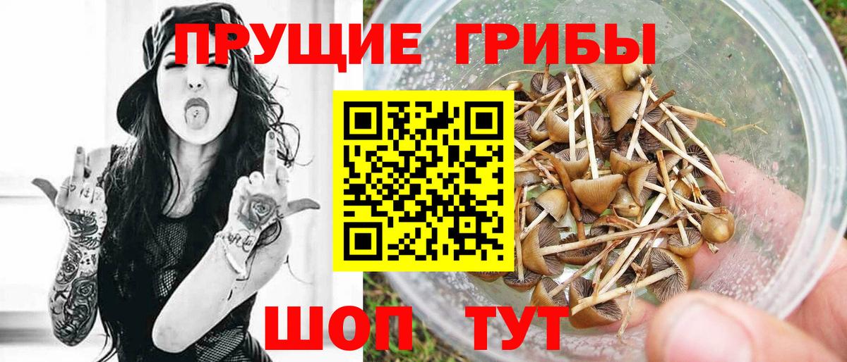 Псилоцибиновые грибы Psilocybine cubensis  Вход с VPN  купить  сайты  Азнакаево 
