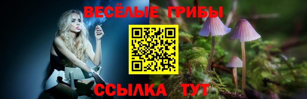 Псилоцибиновые грибы мухоморы Азнакаево