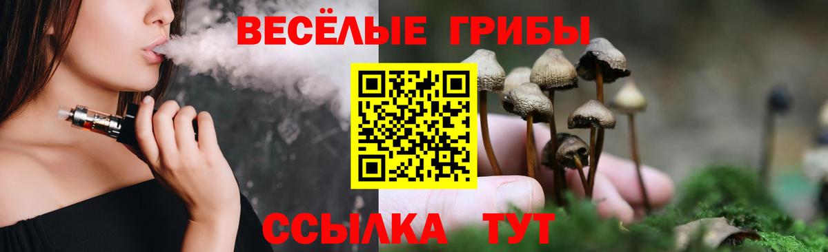 даркнет сайт  Псилоцибиновые грибы MAGIC MUSHROOMS  Азнакаево  Вход с VPN  Галлюциногенные грибы Cubensis 