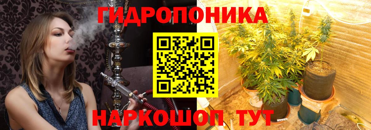 Шишки марихуана план  Конопля гибрид  Азнакаево  Марихуана индика 